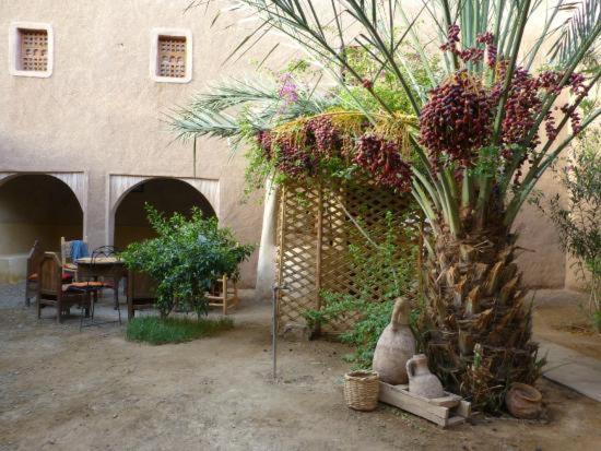 Hotel Kasbah Timidarte Zaouita Bou Lhassane Exterior foto
